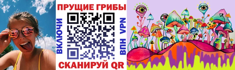 Галлюциногенные грибы Magic Shrooms  Белово 